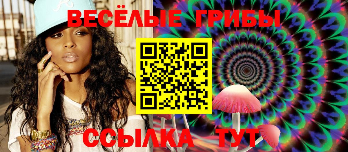 Псилоцибиновые грибы Psilocybine cubensis Владикавказ